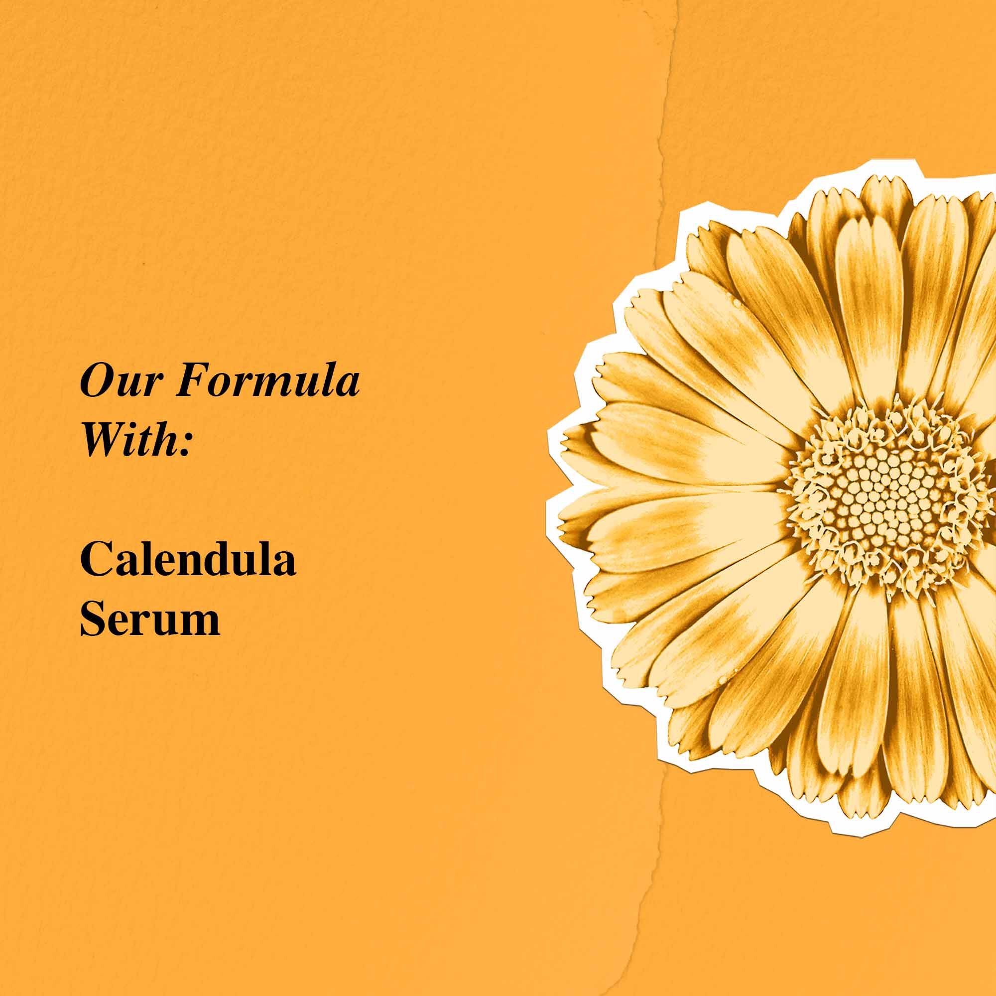 Calendula Serum-Infused Water Cream - Krem wodny z serum z nagietka lekarskiego