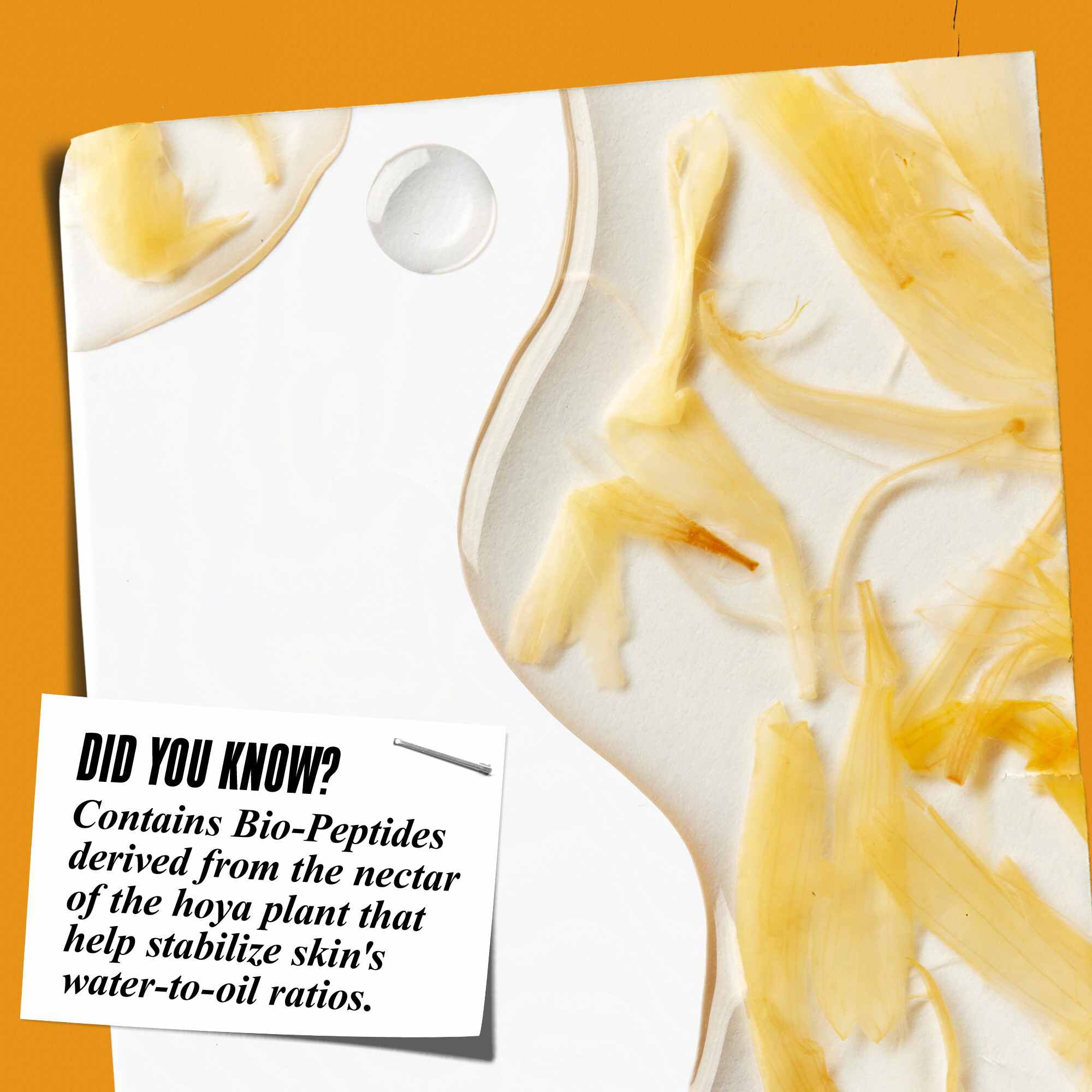 Zbliżenie na konsystencję toniku Calendula Herbal-Extract Toner z płatkami nagietka i tekstem: „Czy wiesz, że? Zawiera biopeptydy pochodzące z nektaru rośliny hoya, ktore pomagają stabilizować stosunek wody do oleju w skorze.”