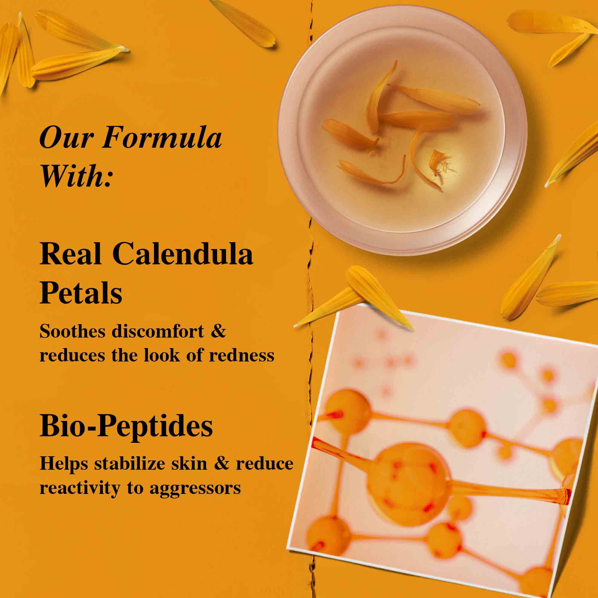 Płatki kwiatow nagietka.