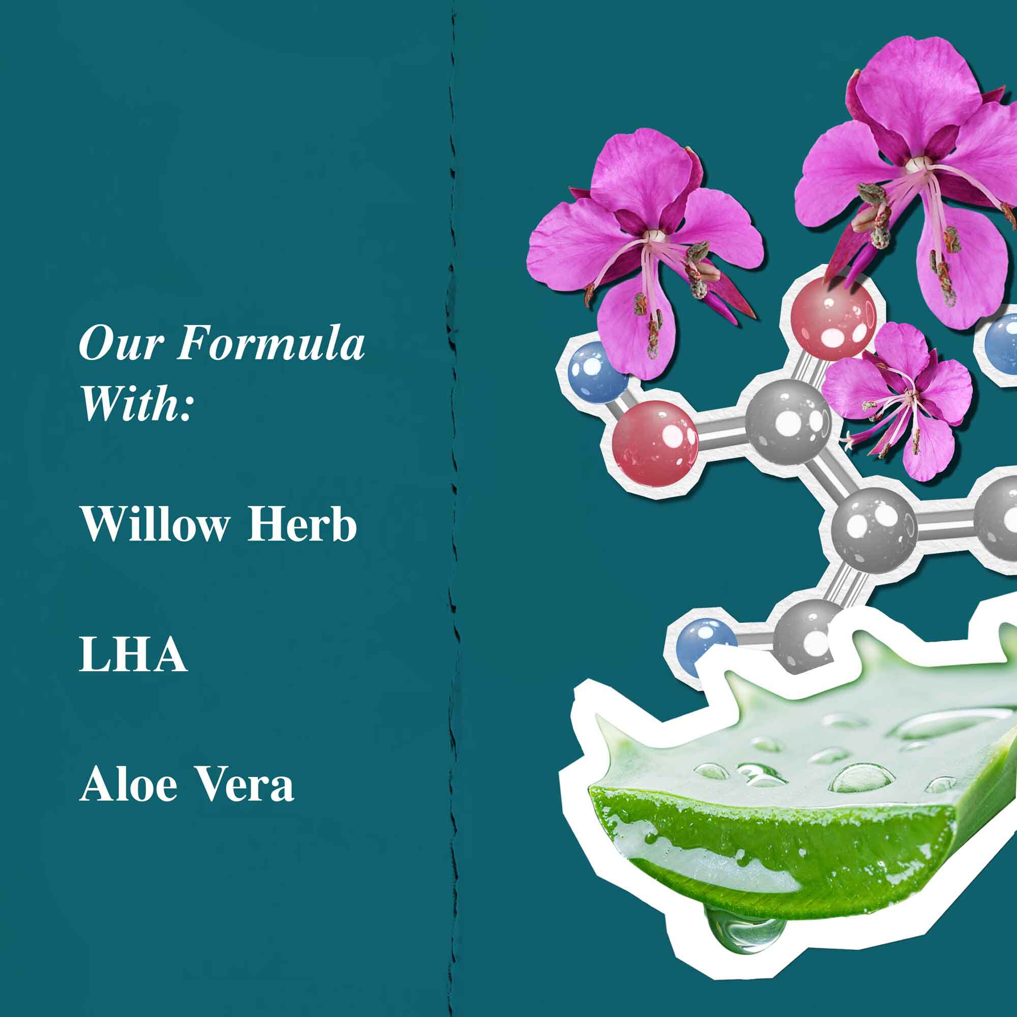 Grafika składnikow balsamu Close Shavers Squadron Smooth Glider Precision Shave Lotion, podkreślająca wierzbownicę i aloes.