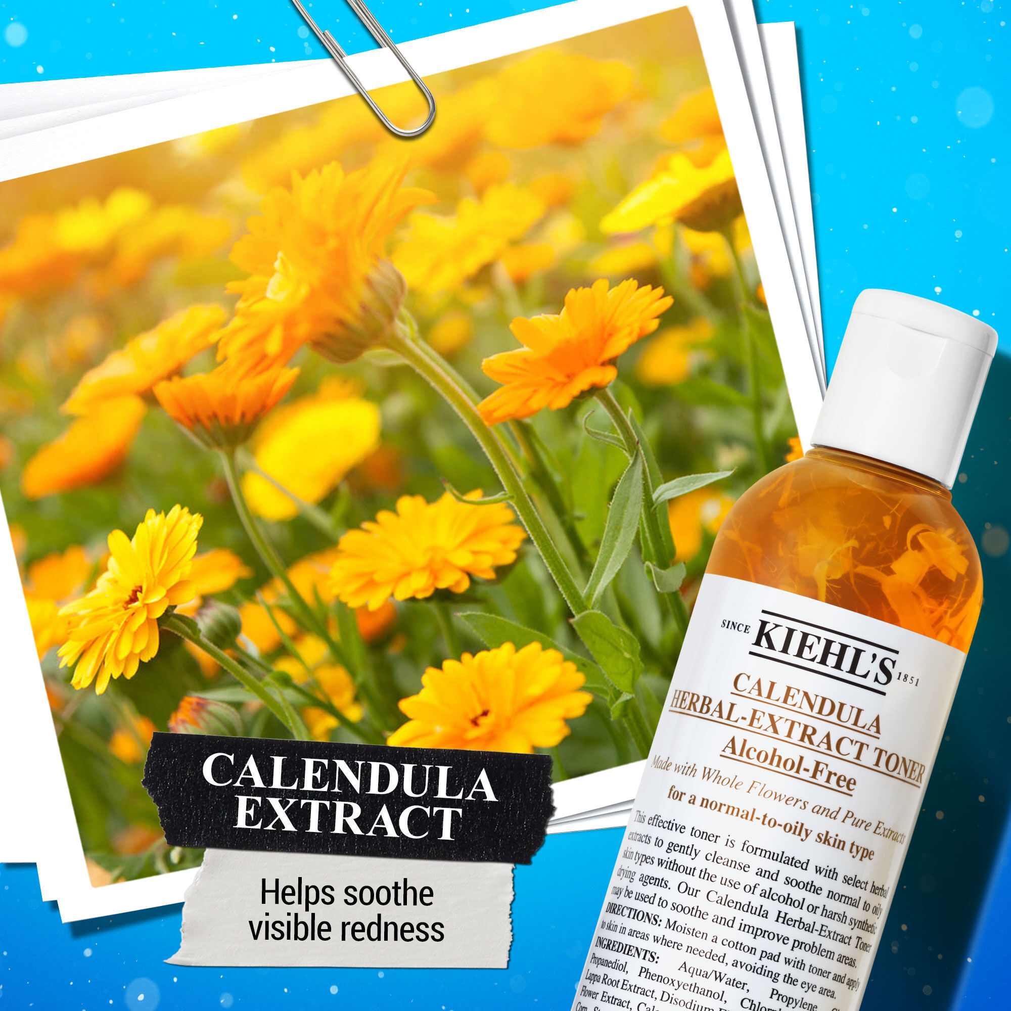 Calendula Herbal-Extract Toner - Tonik bezalkoholowy z nagietkiem  w Limitowanej Edycji Świątecznej