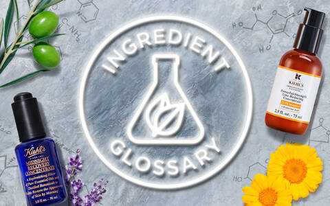 Alt text: Zestaw kosmetykow na tle szarym, z kwiatami, oliwkami, awokado i chemicznymi wzorami. W centrum znajduje się napis "Ingredient Glossary".