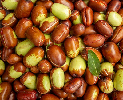 A close-up of a variety of jujube fruits, featuring reddish-brown and green coloring, scattered together with a single green leaf among them.